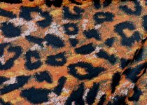 Strick-Jacquard