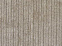 Cord beige